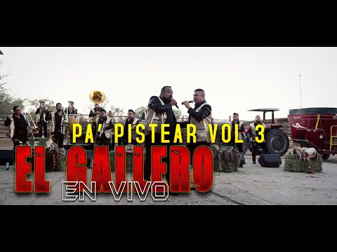 El Gallero - Banda El Terre De Jerez (EN VIVO)🔴 Pa' Pistear Vol.3