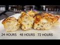 Cold Fermented Pizza 1 2 3 Day Comparison