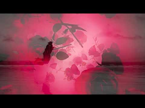 Now You're Gone - Ella Marie (MARYELLE) - New pop house electronic dance music video 2021