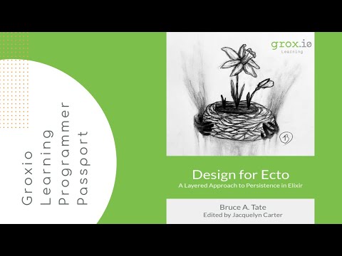 Programmer Passport: Ecto Introduction