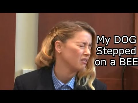 💀my dog stepped on a bee