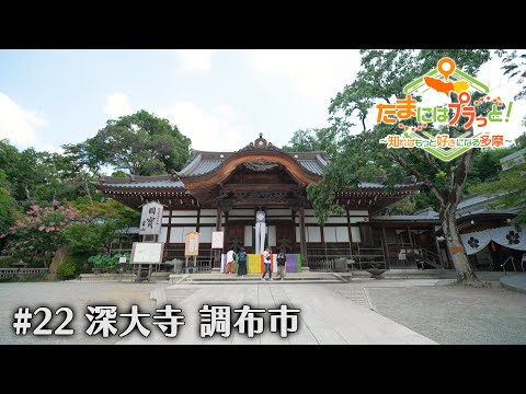 「たまにはプラっと！」　2024年8月30日放送