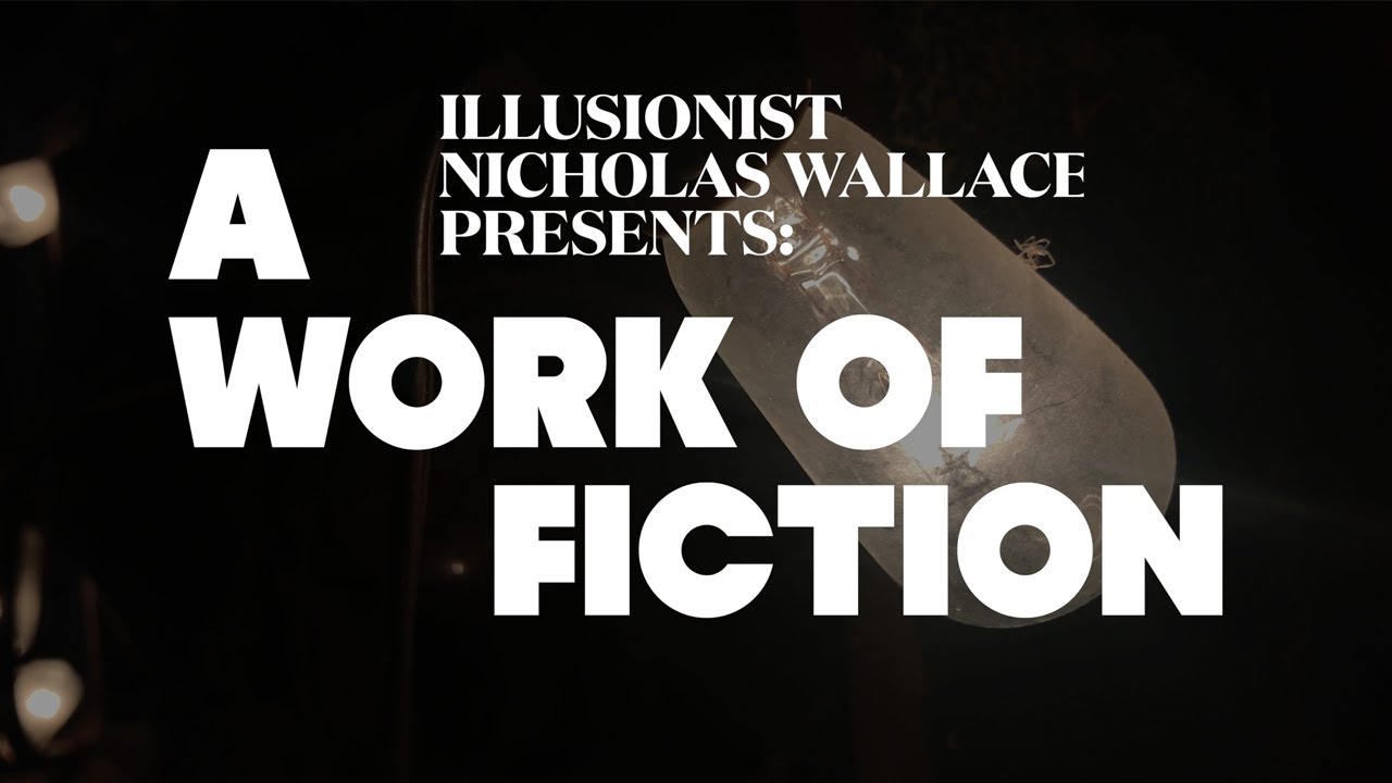 Promotional video thumbnail 4 for Nicholas Wallace