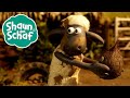 Die Kokosnuss Shaun Das Schaf Staffel 3 Ganze Folge