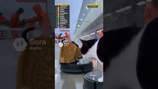 PIT #sora2 #aivideo #shorts