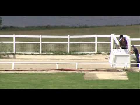 King Drake - BGBF British Bred Sprint Semi Final 1