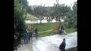 Negramaro Tu Ricordati di Me Usat 2008 ing. Industrial