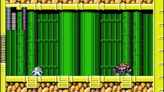 Mega Man 6 Playthrough Part 4 - Nature's Defenders