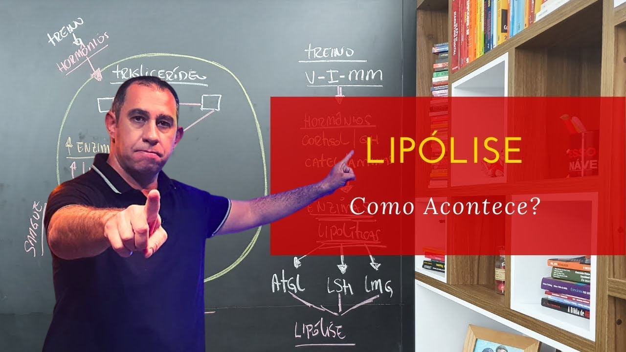 Como Acontece a Lipólise   (Metabolismo de Gordura)