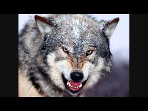 download lagu mp3 mp4 VA Dance Chart Vol 26 2010, download mp3 VA Dance Chart Vol 26 2010 free download mp3, download mp3 VA Dance Chart Vol 26 2010