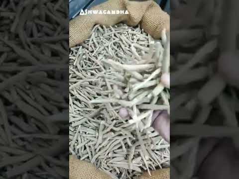 Ashwagandha Withania Somnifera Roots
