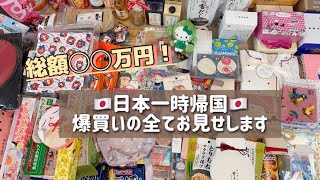 【日本一時帰国🇯🇵購入品】総額◯◯万円?!韓国在住日本人はこんなもの買って帰ります/今回も日本で爆買い&散財そして最後にやらかす【韓国在住日本人】