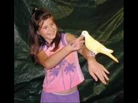 Mun ta thili Ekutia Baanra Pakshi