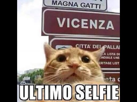 Vicentini Magnagati: perchè?