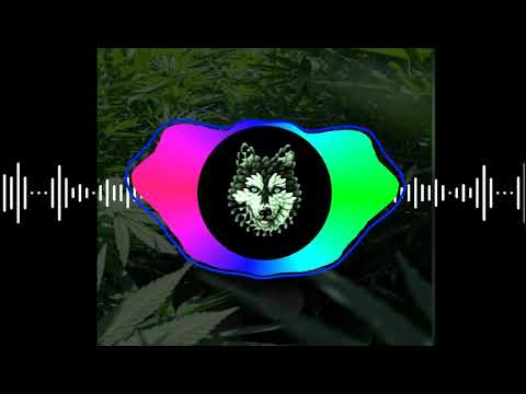 Linfelx Ft Samsam - Mo envi pousse loto (60 SUBSCRIBER SPECIAL)