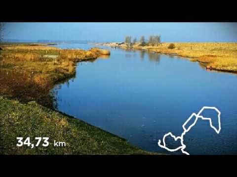 Wielrennen richting Arnemuiden, Lewedorp en de Zeedijk Ritthem.