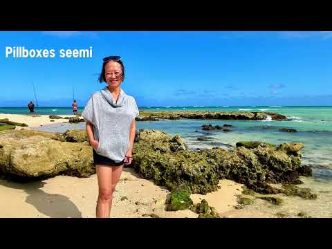 5052024 Nimitz Beach