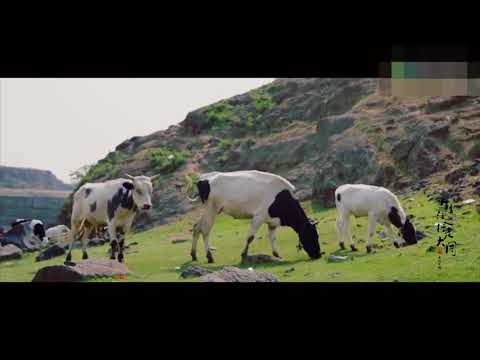 Datong: Área de jantar externa de Datong Kaikyo nº 1: Local do Templo de Hongmensa