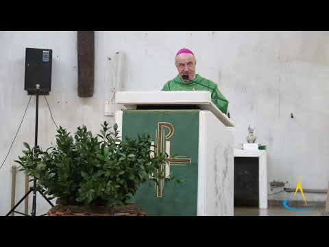 Homilia de Dom Murilo Krieger