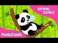 Ni Hao Panda | Panda | Animal Songs | Pinkfong Songs for Children