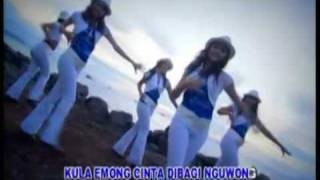 Download lagu Jalak Putih Wulan mp3 Download lagu Jalak Putih Wulan mp3