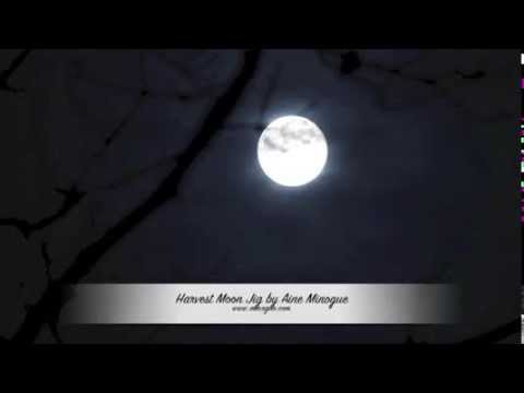 Aine Minogue - Harvest Moon Jig