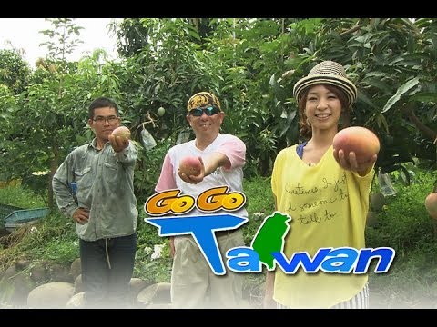 GoGoTaiwan Ep77 台南玉井 熱騰騰又清爽爽的旅行