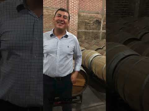 Destilado de Agave, Mezcal Huitzila Fabrica buscada en Huitzila Teúl de González Ortega