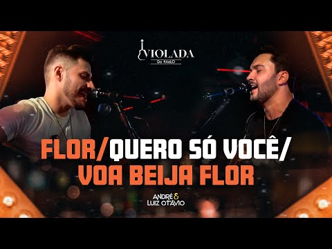 Flor / Eu Quero Só Você  / Voa Beija Flor - Violada do AeLO
