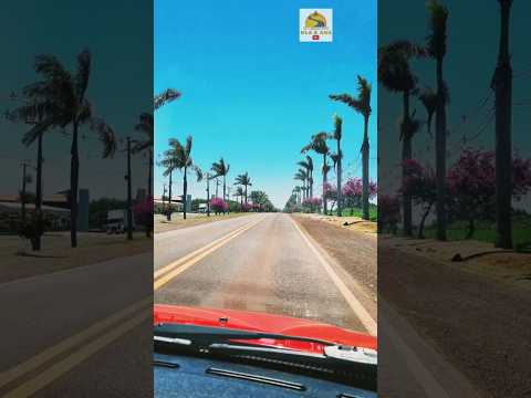 SANTA HELENA PR #decaronacomolaeana #shorts