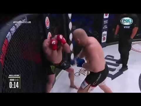 😱🐞 Roy Nelson gets knocked out by Sergei Kharitonov