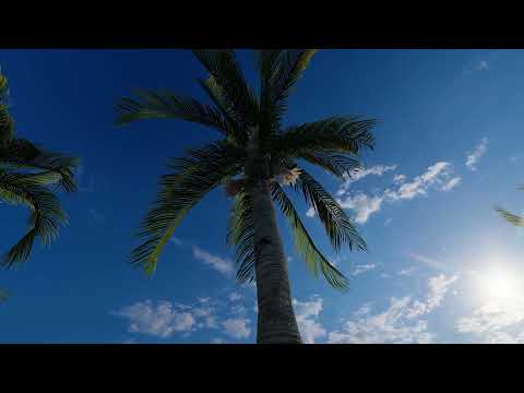 Can you escape Villa Fiji