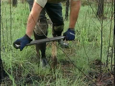 Save You - worm grunting season