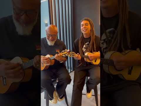 Apoteose ao Samba - Mauro Diniz