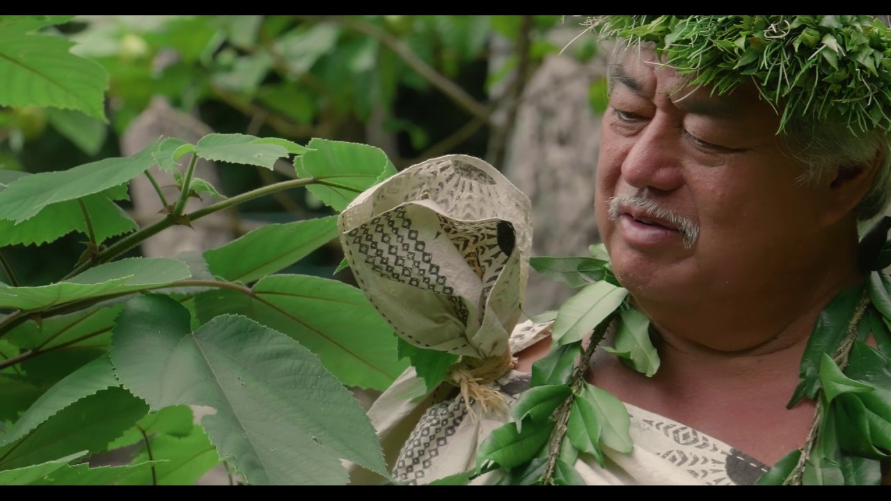 Promotional video thumbnail 2 for George Kahumoku - Master Hawaiian Slack Key Guitarist