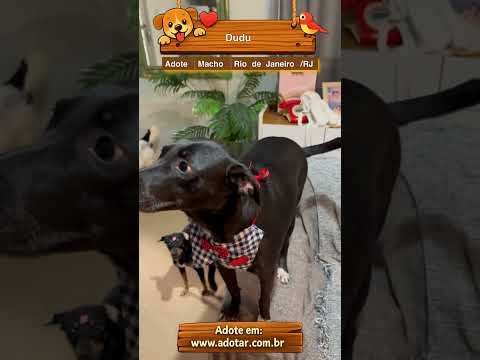 Vídeo de Dudu 