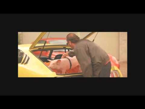 Dikkenek - Claudy vs Cochon