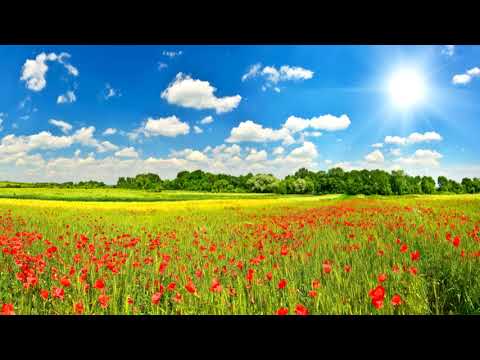 Progressive Rock Mix by Ofenblase - Volume 16