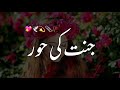 Jannat Ki Hoor Maulana Tariq Jameel Bayan Watsapp Status Beautiful Status
