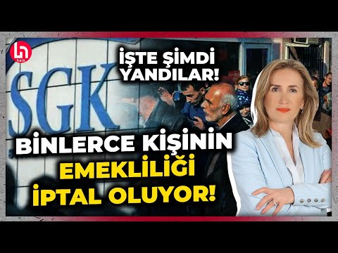TEST VİDEOSU