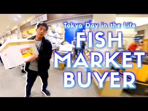 東京・豊洲魚市場内 (Inside Toyosu Fish Market in Tokyo)