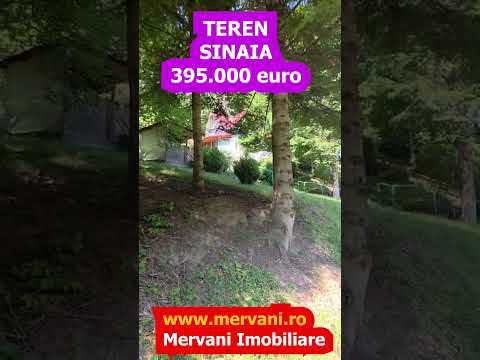 Teren intravilan 979 mp Sinaia, Furnica — Video