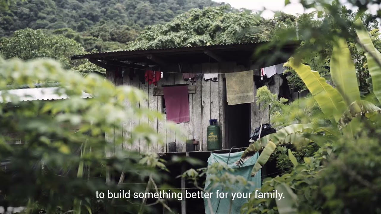 Voices from communities affected by armed Conflict