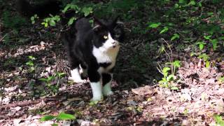 With Friends Like You, Who Needs Friends