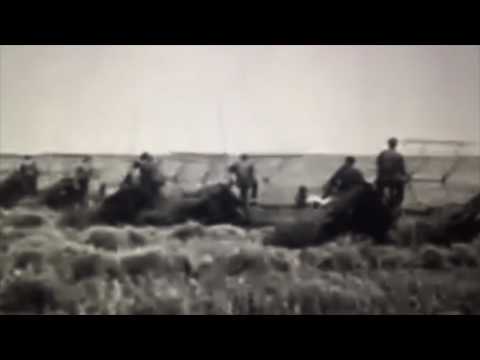 Joseph stalin - Great Purge