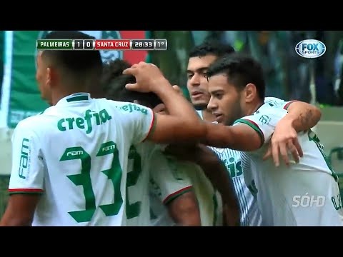 Palmeiras 3x1 Santa Cruz - Campeonato Brasileiro 2016