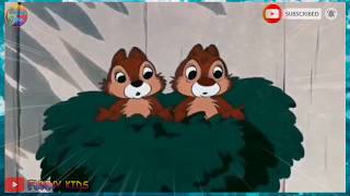 Download lagu Funny Kids - Donald Bebek 3 (Donald Duck) mp3