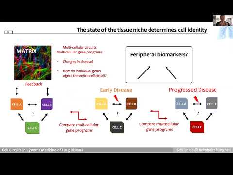 SCOG Virtual Lecture Series - Herbert Schiller (HMGU, Munich)
