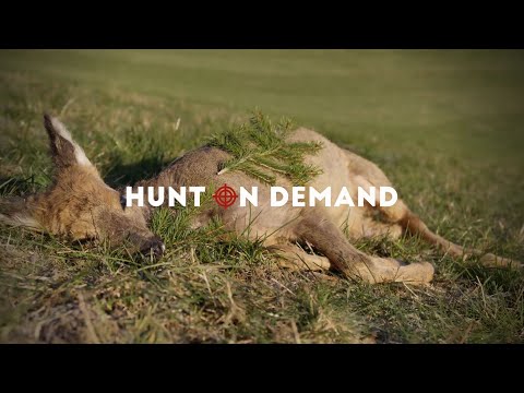 Kranker Bock im April – Wildling Hunt on Demand Trailer