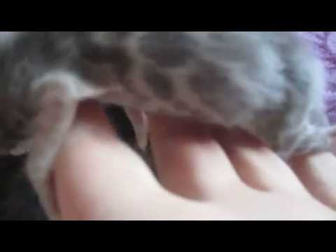 Ameera's blue babies @ 4 days old :)